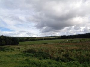 Plot 2, Wester Greens, Dunphail, Forres, Moray, IV36 2QR